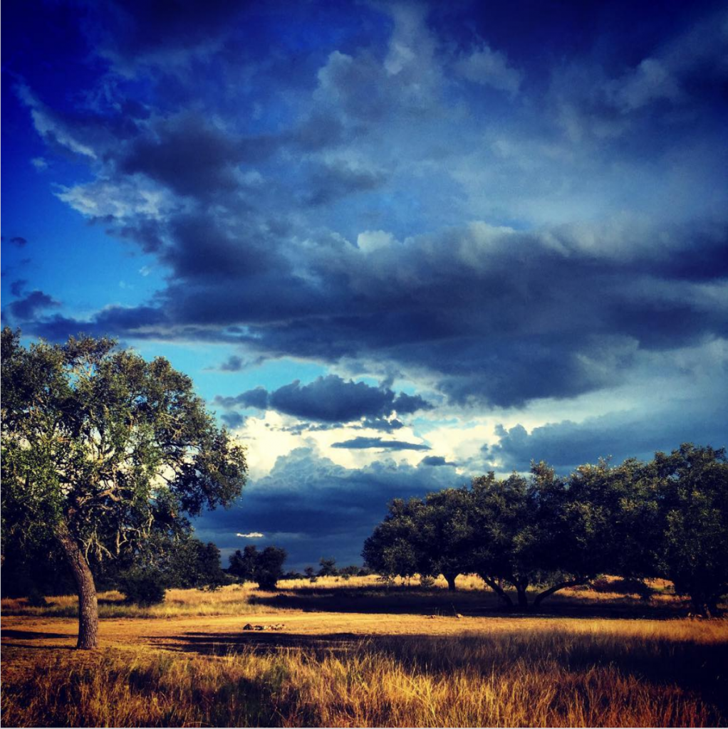 Texas skies